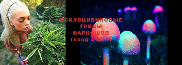 тгк Балахна