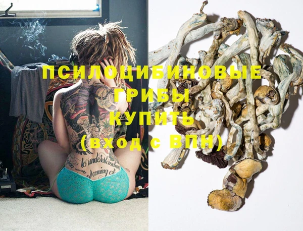 тгк Балахна