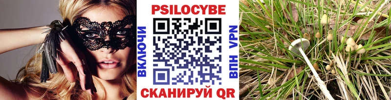где найти наркотики  ссылка на мегу   Галлюциногенные грибы GOLDEN TEACHER  Шумиха 